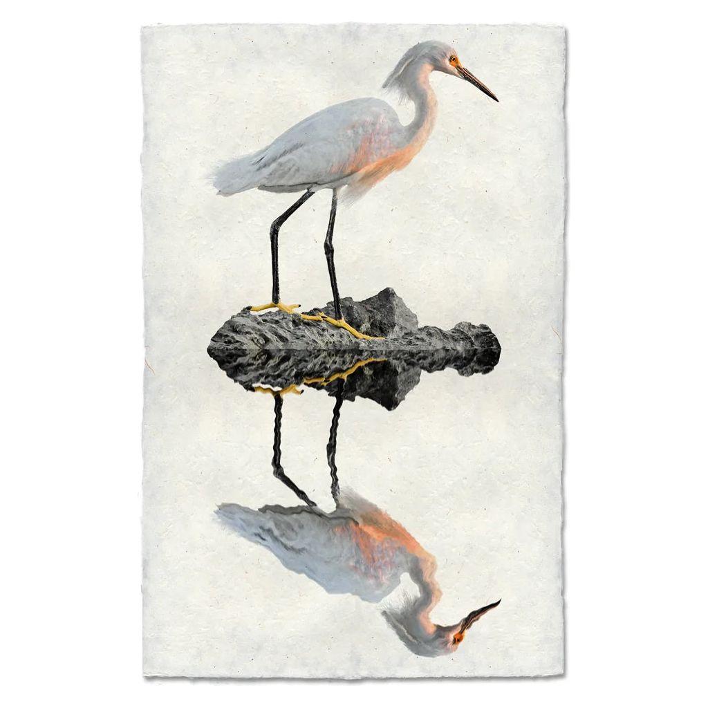 The Grand, Snowy Egret stands gracefully on a rock, with its reflection mirrored perfectly on the still water below. The backdrop mimics the textured surface of handmade English watercolor paper, highlighting the egret’s elegant form and the serene scene in archival quality beauty.