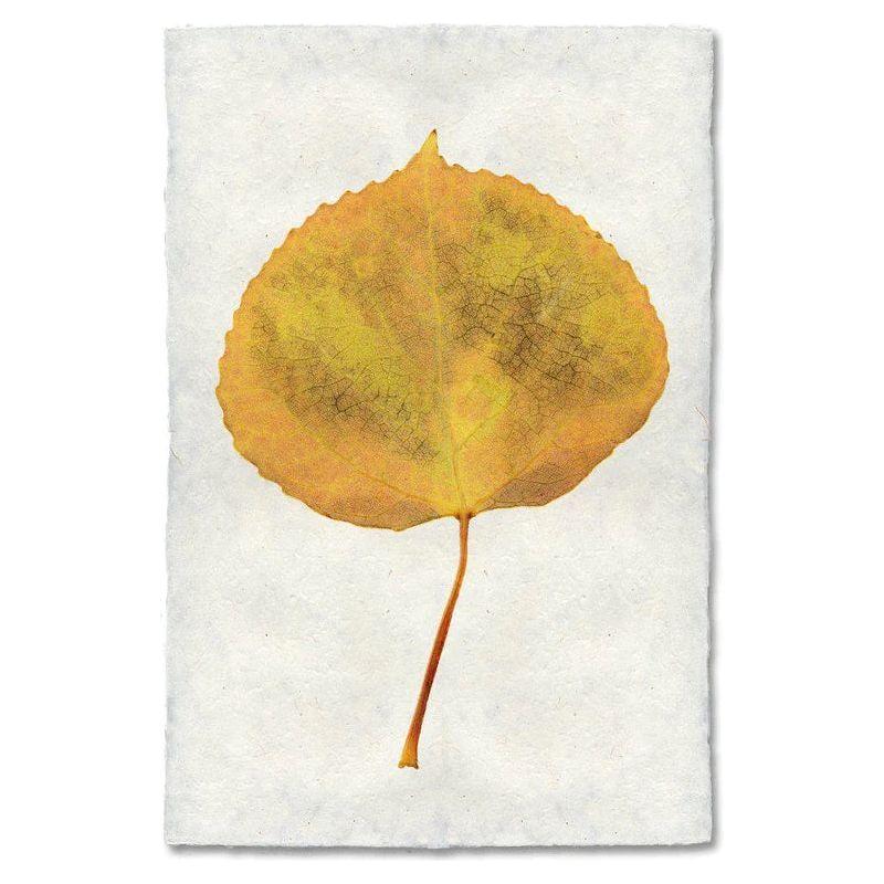 An Aspen Leaf with a scalloped edge and visible veins rests centered on handmade Nepalese paper, its slender brown stem pointing downward—showcasing the natural beauty of this unique Aspen Leaf.
