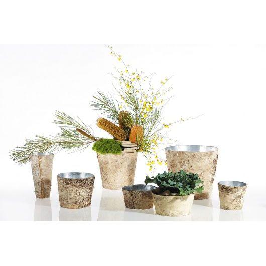 Birch Pots w/Zinc of varying sizes are arranged in a row. Some pots contain pine branches, yellow flowers, and lush green moss, adding a natural touch. Others are empty or hold leafy plants with ruffled foliage. The pots have a textured, tree bark-like appearance, enhancing their earthy charm.