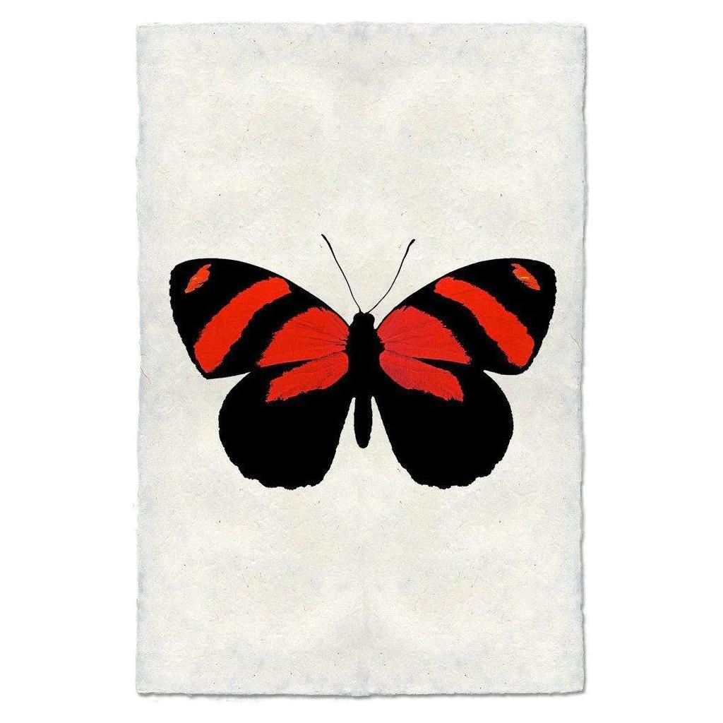 A depiction of the product "Butterfly (10)" shows a butterfly with striking red and black wings adorned with prominent horizontal stripes, set against a textured off-white background that mimics handmade Nepalese paper. This contrast accentuates the vividness of the wings against the understated backdrop.
