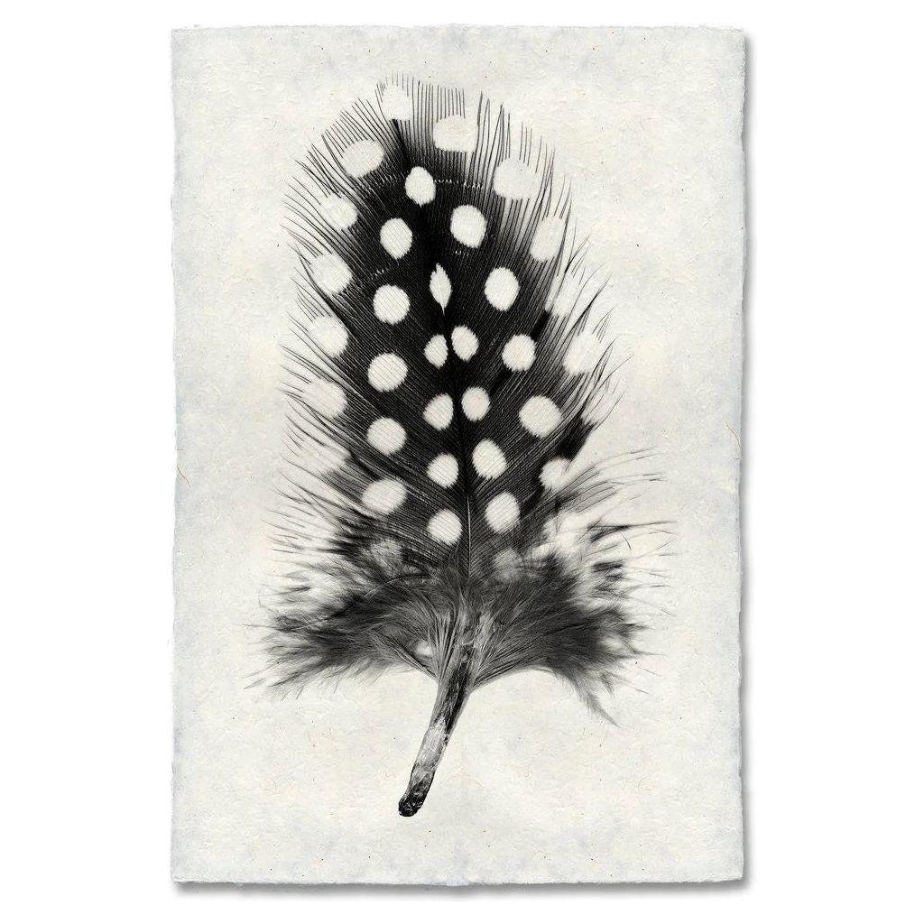 Close-up of a Grand, Guinea Fowl Feather with its distinct polka dot patterning in black and white, lying on a textured off-white archival-quality background. This contrast accentuates the feather's intricate details, echoing the elegance found in Cuthbert’s Mill Handmade English Watercolor Paper.