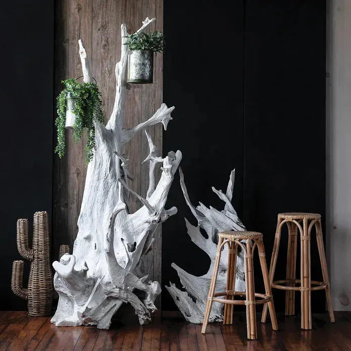 A rustic interior showcases a large Teak Root Sculpture that resembles a natural artwork, adorned with hanging pots of green plants. Two wicker stools are positioned beside it. A section of wooden wall contrasts with black panels, and a small woven cactus decoration rests on the Bone White finish flooring.