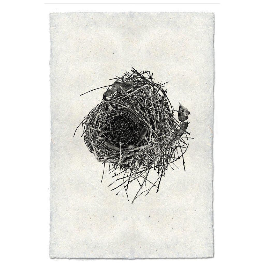 Nest (10)