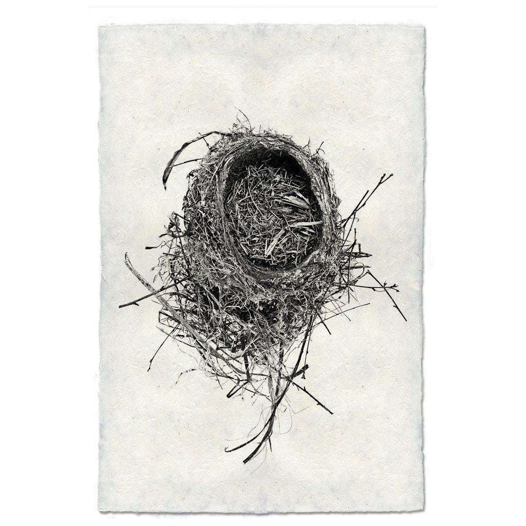 Nest (11)