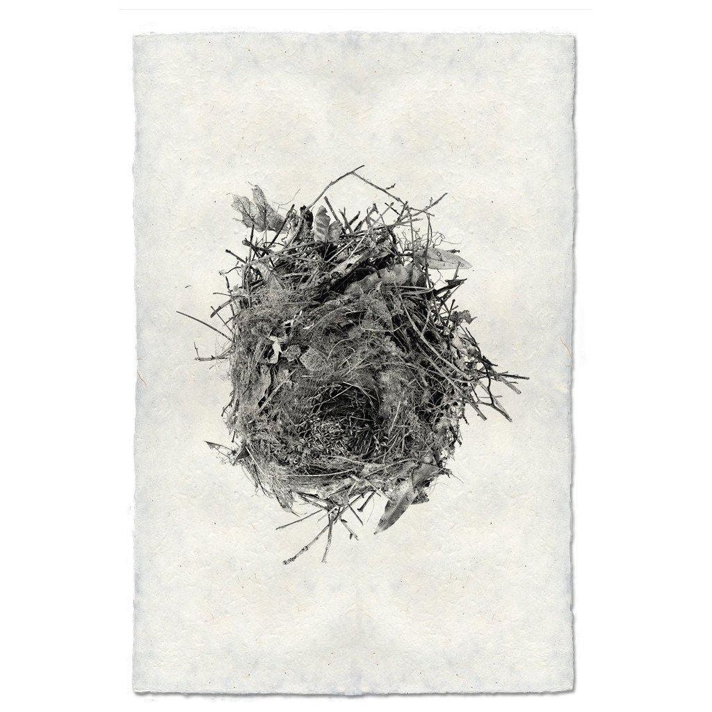 Nest (13)