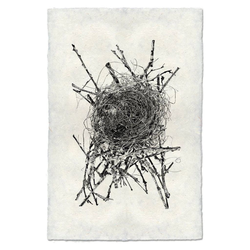 Nest (15)