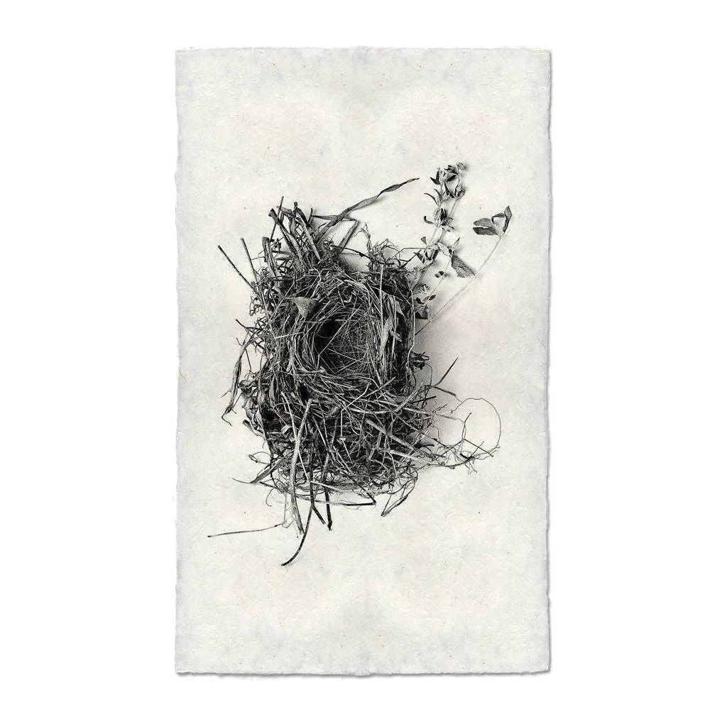 The product "Nest (1)" features a detailed black and white sketch of a bird's nest centered against a plain, light background. The intricately constructed nest, made from twigs, leaves, and dry grass, rests upon handmade Nepalese paper. Delicate branches extend outward from the nest, adding natural detail to this unique image.