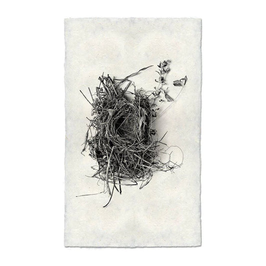 Nest (1)