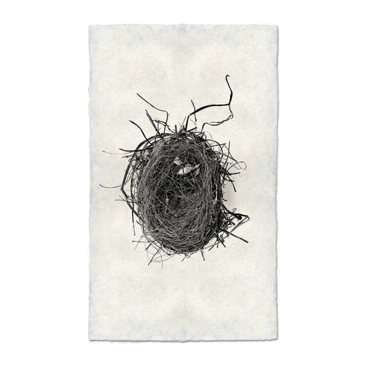 Nest (4)