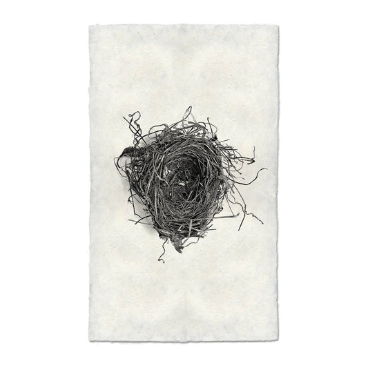 Nest (5)