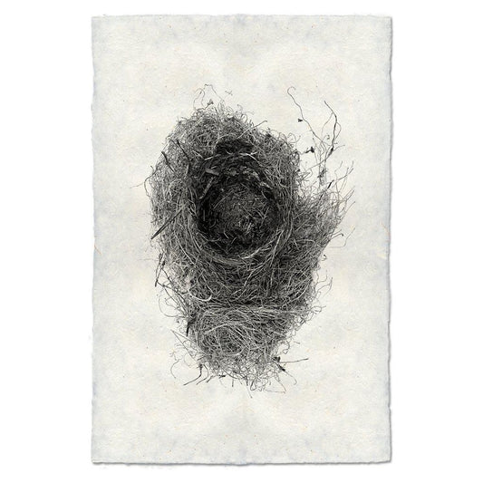 Nest (6)