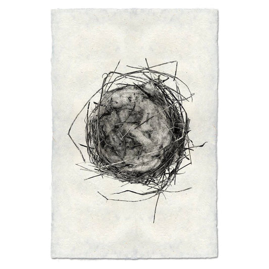 Nest (7)