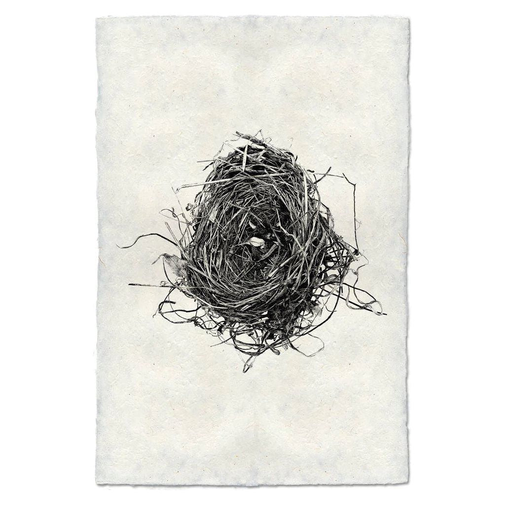 Nest (8)