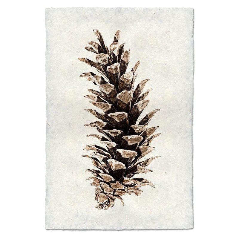 Illustration of a Grand, Western White Pine cone on a textured, off-white background made from handmade English watercolor paper. The pine cone's scales are detailed, with some open and others closed, showcasing its natural, rough surface. Its elongated shape is centered vertically on the archival-quality paper.